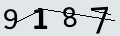 verifycode